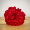 Clavel Grande