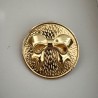 Broche moneda lazo