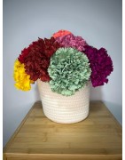 Flores